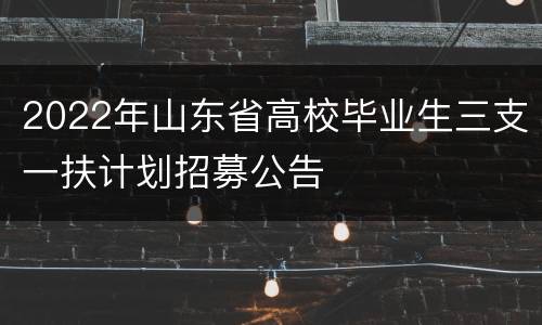 2022年山东省高校毕业生三支一扶计划招募公告