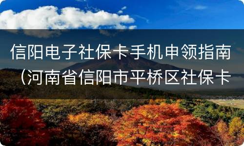 信阳电子社保卡手机申领指南（河南省信阳市平桥区社保卡手机怎办理）
