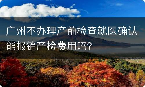 广州不办理产前检查就医确认能报销产检费用吗？