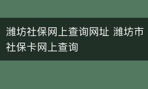 潍坊社保网上查询网址 潍坊市社保卡网上查询