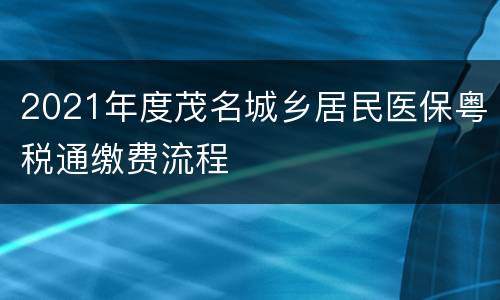2021年度茂名城乡居民医保粤税通缴费流程