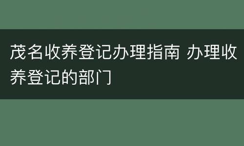 茂名收养登记办理指南 办理收养登记的部门