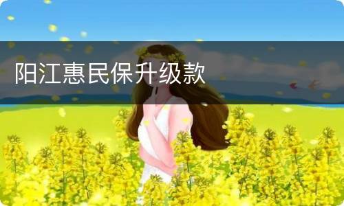阳江惠民保升级款