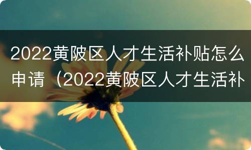 2022黄陂区人才生活补贴怎么申请（2022黄陂区人才生活补贴怎么申请领取）