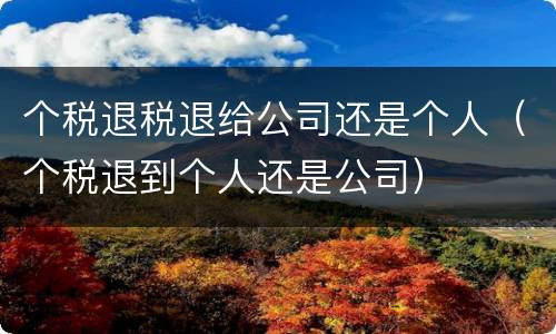 个税退税退给公司还是个人（个税退到个人还是公司）