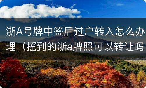 浙A号牌中签后过户转入怎么办理（摇到的浙a牌照可以转让吗）