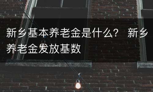 新乡基本养老金是什么？ 新乡养老金发放基数