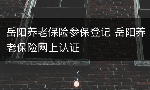 岳阳养老保险参保登记 岳阳养老保险网上认证