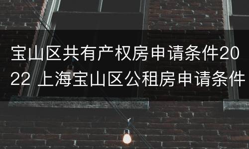 宝山区共有产权房申请条件2022 上海宝山区公租房申请条件2021