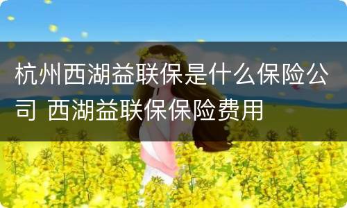 杭州西湖益联保是什么保险公司 西湖益联保保险费用