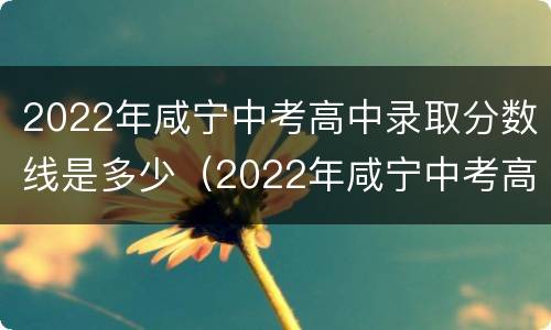 2022年咸宁中考高中录取分数线是多少（2022年咸宁中考高中录取分数线是多少啊）