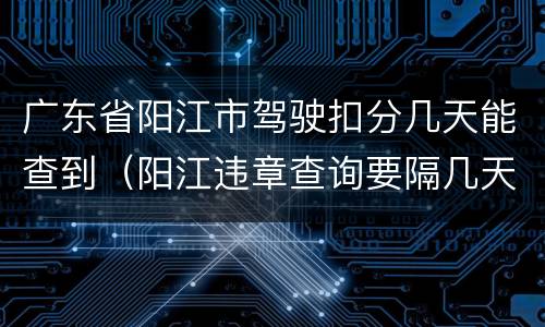 广东省阳江市驾驶扣分几天能查到（阳江违章查询要隔几天）