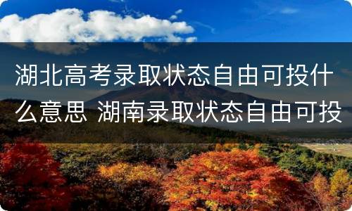 湖北高考录取状态自由可投什么意思 湖南录取状态自由可投是什么意思
