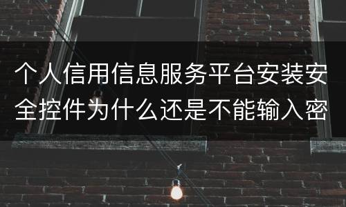 个人信用信息服务平台安装安全控件为什么还是不能输入密码？