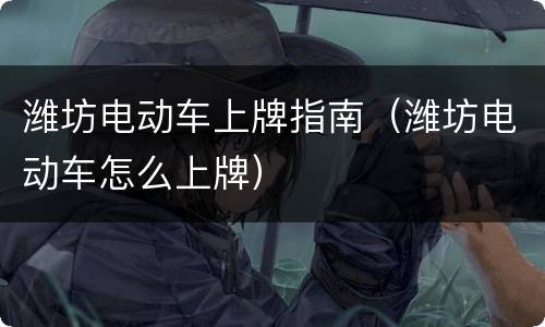 潍坊电动车上牌指南（潍坊电动车怎么上牌）