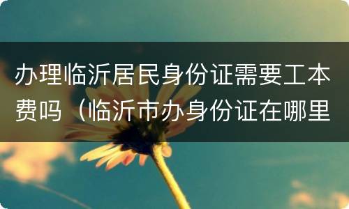 办理临沂居民身份证需要工本费吗（临沂市办身份证在哪里都可以办吗?）
