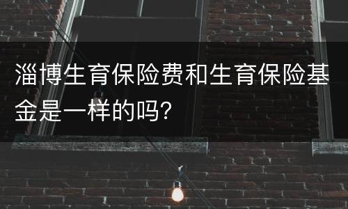 淄博生育保险费和生育保险基金是一样的吗？