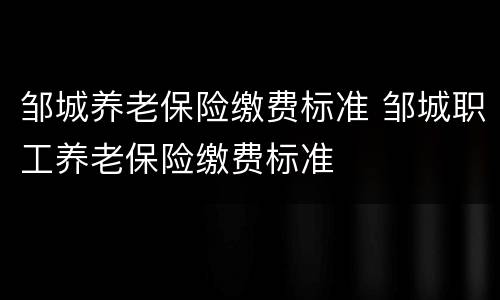 邹城养老保险缴费标准 邹城职工养老保险缴费标准
