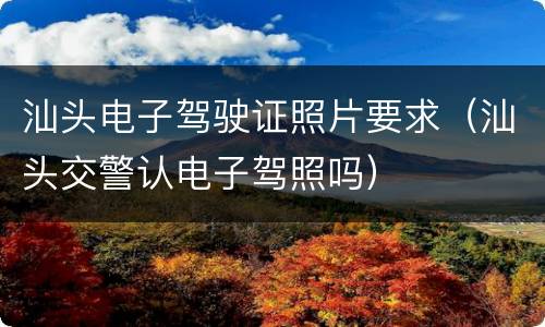 汕头电子驾驶证照片要求（汕头交警认电子驾照吗）