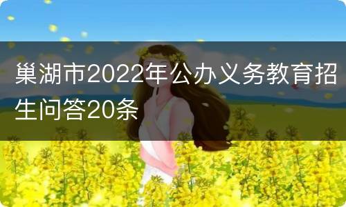 巢湖市2022年公办义务教育招生问答20条