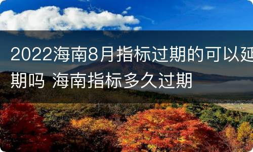 2022海南8月指标过期的可以延期吗 海南指标多久过期