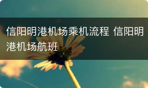 信阳明港机场乘机流程 信阳明港机场航班