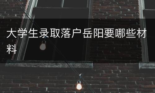 大学生录取落户岳阳要哪些材料