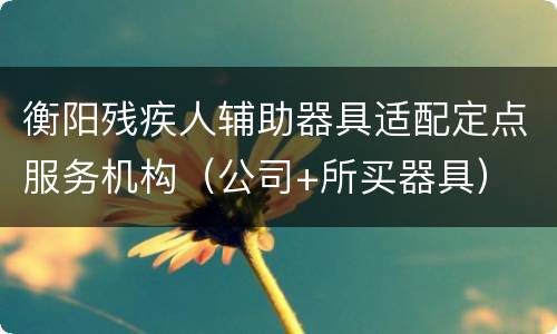 衡阳残疾人辅助器具适配定点服务机构（公司+所买器具）