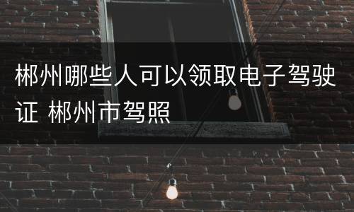 郴州哪些人可以领取电子驾驶证 郴州市驾照
