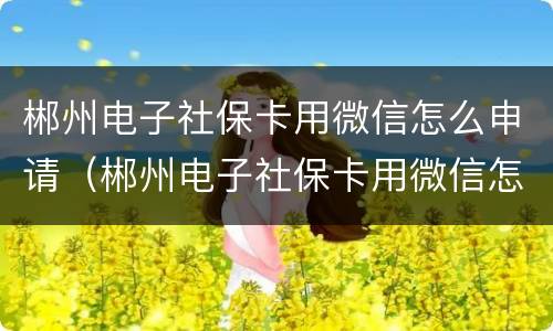 郴州电子社保卡用微信怎么申请（郴州电子社保卡用微信怎么申请激活）