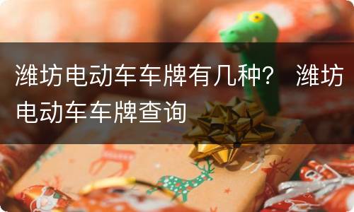 潍坊电动车车牌有几种？ 潍坊电动车车牌查询