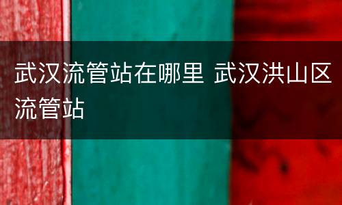 武汉流管站在哪里 武汉洪山区流管站