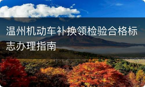 温州机动车补换领检验合格标志办理指南