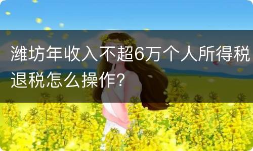潍坊年收入不超6万个人所得税退税怎么操作？