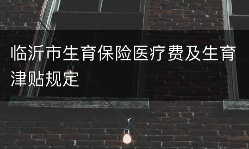临沂市生育保险医疗费及生育津贴规定