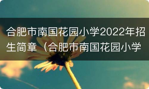 合肥市南国花园小学2022年招生简章（合肥市南国花园小学2022年招生简章电话）