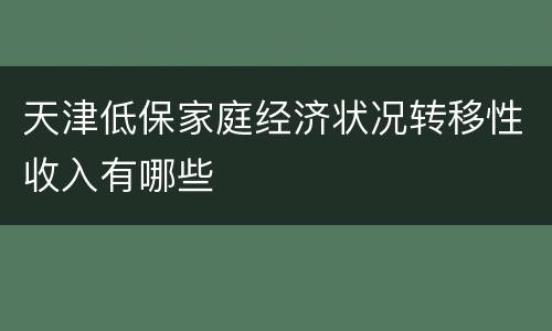 天津低保家庭经济状况转移性收入有哪些