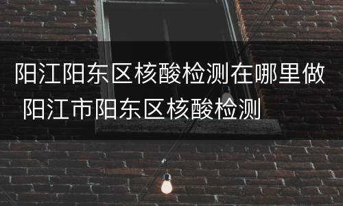 阳江阳东区核酸检测在哪里做 阳江市阳东区核酸检测