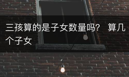 三孩算的是子女数量吗？ 算几个子女