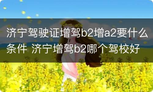 济宁驾驶证增驾b2增a2要什么条件 济宁增驾b2哪个驾校好