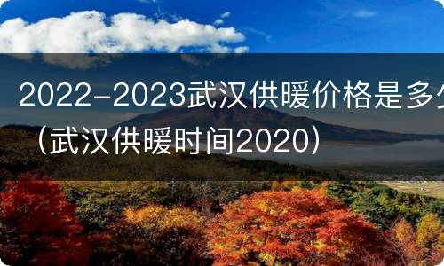 2022-2023武汉供暖价格是多少（武汉供暖时间2020）