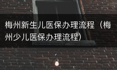 梅州新生儿医保办理流程（梅州少儿医保办理流程）