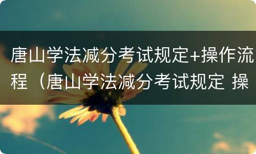 唐山学法减分考试规定+操作流程（唐山学法减分考试规定 操作流程是什么）