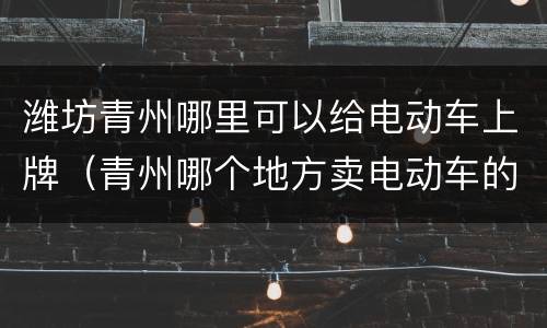 潍坊青州哪里可以给电动车上牌（青州哪个地方卖电动车的多?）