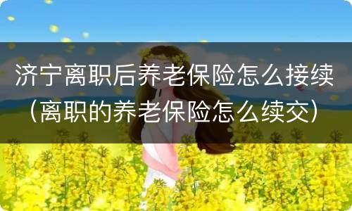 济宁离职后养老保险怎么接续（离职的养老保险怎么续交）