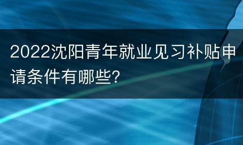 2022沈阳青年就业见习补贴申请条件有哪些？