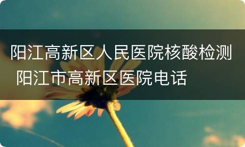 阳江高新区人民医院核酸检测 阳江市高新区医院电话