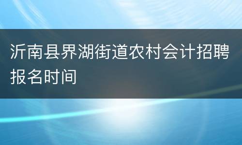 沂南县界湖街道农村会计招聘报名时间