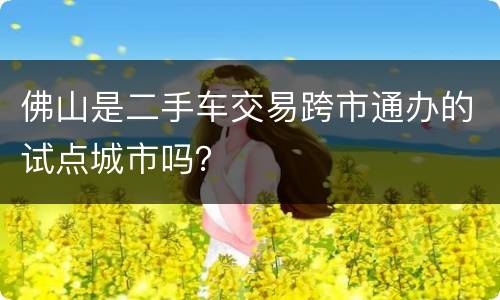佛山是二手车交易跨市通办的试点城市吗？