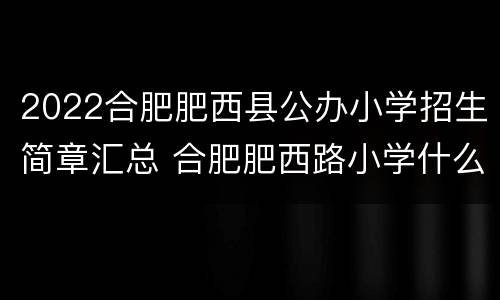 2022合肥肥西县公办小学招生简章汇总 合肥肥西路小学什么时候招生
